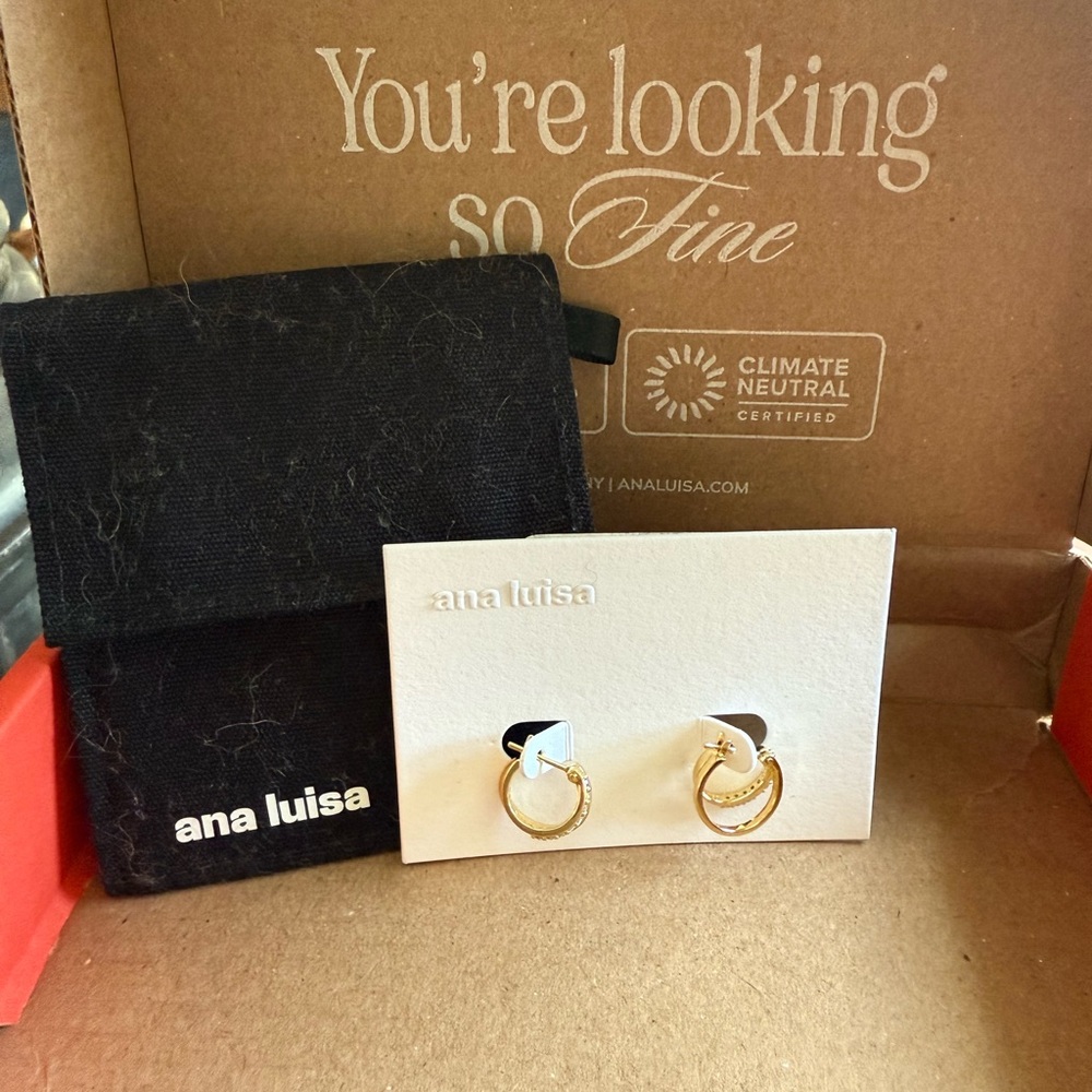 Ana Luisa Gold Hoop Earrings